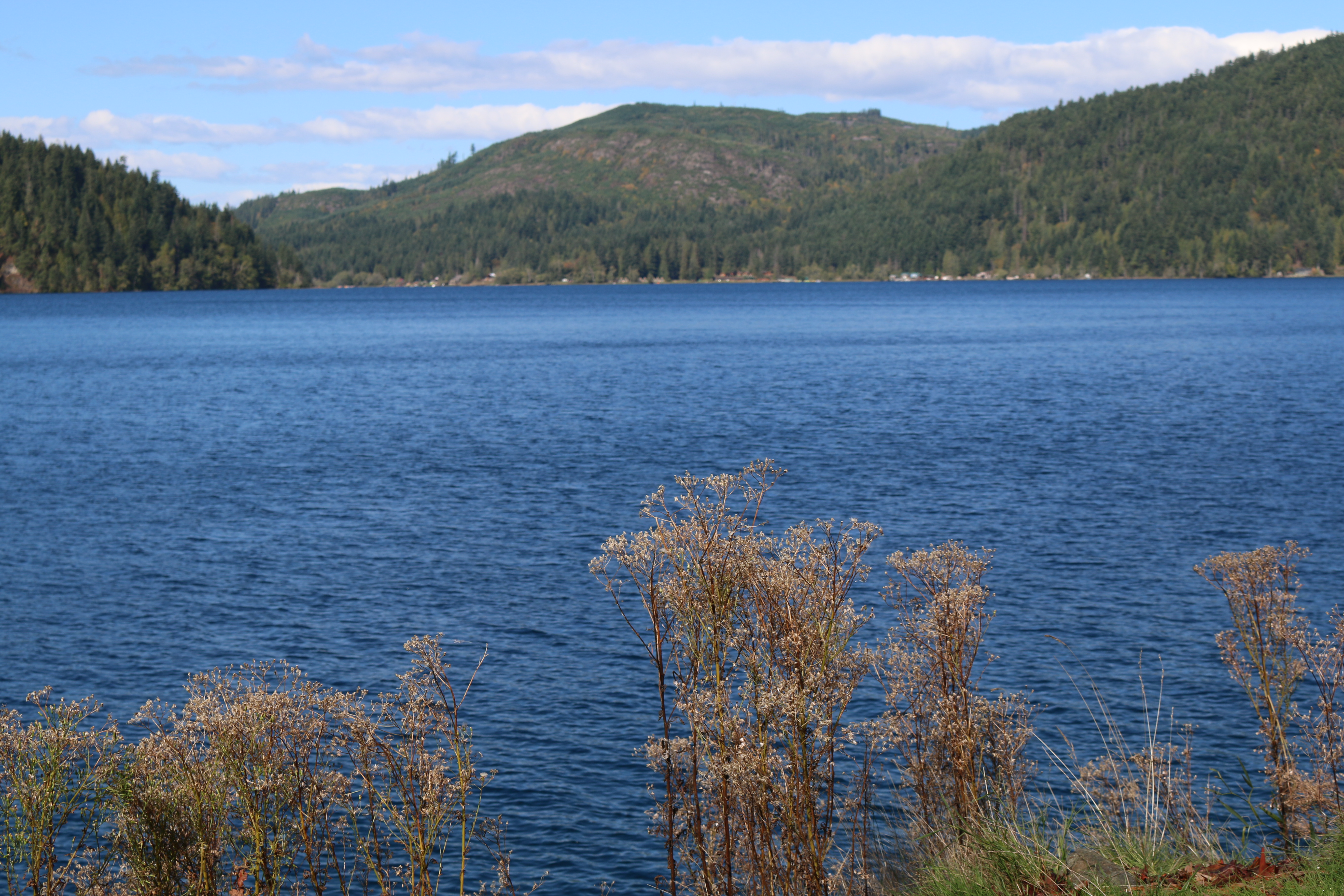 Lake Crescent